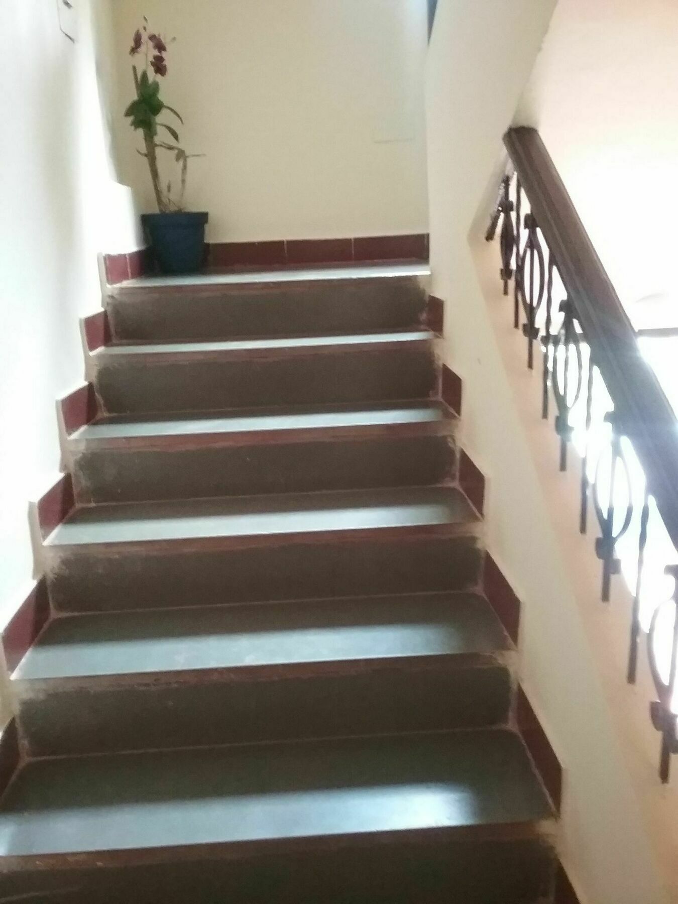فندق باجا فيلا Saligao المظهر الخارجي الصورة